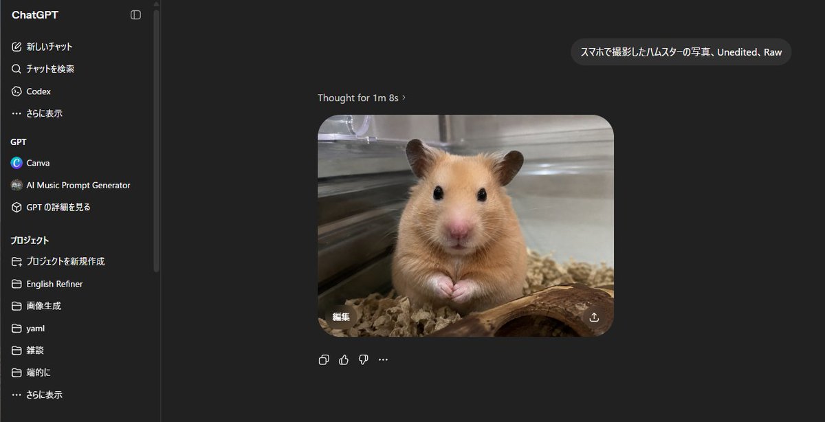 Captura de pantalla de hámster de análisis de ChatGPT