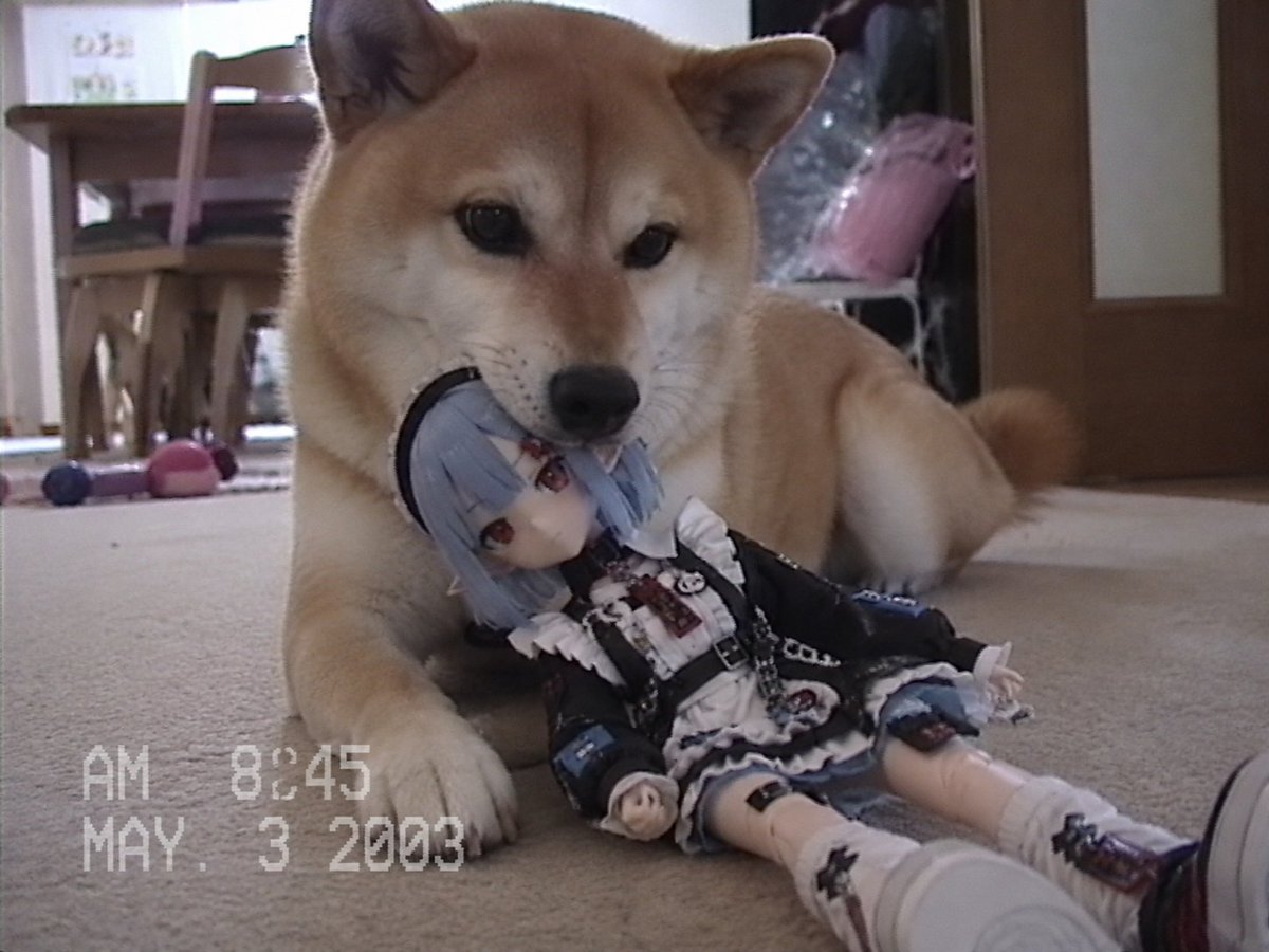 Nostalgischer Home-Video-Puppen-Effekt (1/2)