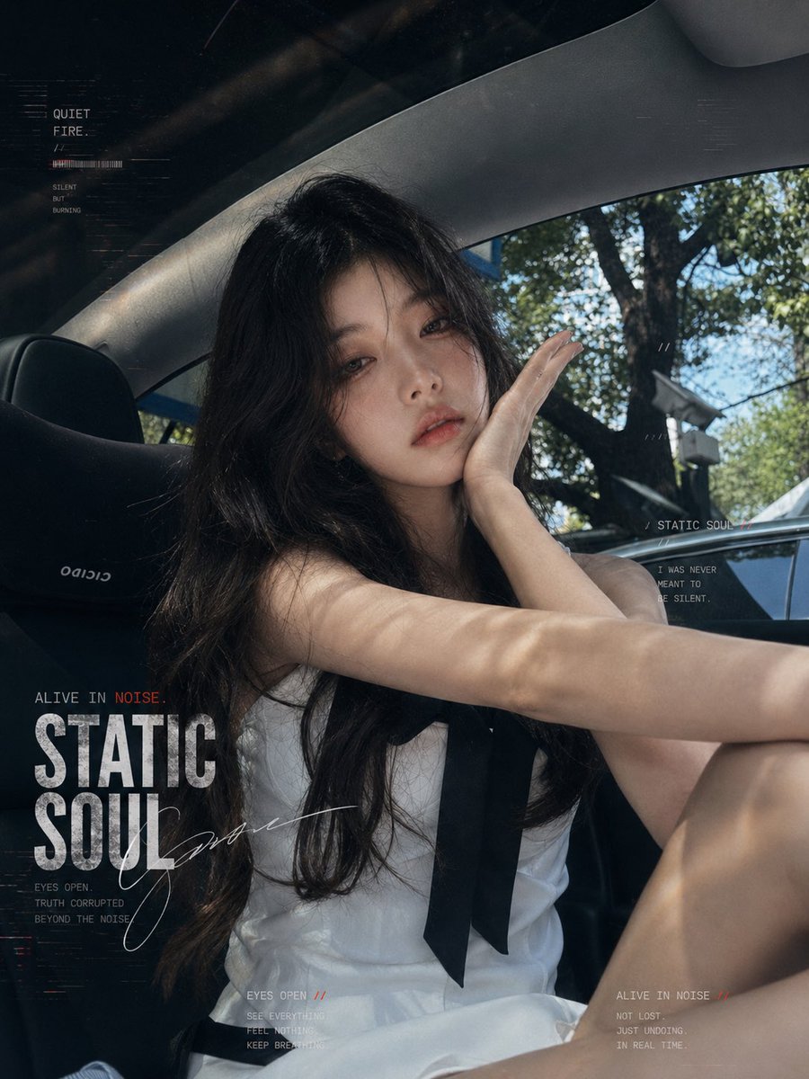 Static Soul Car Portrait Poster (1/4)