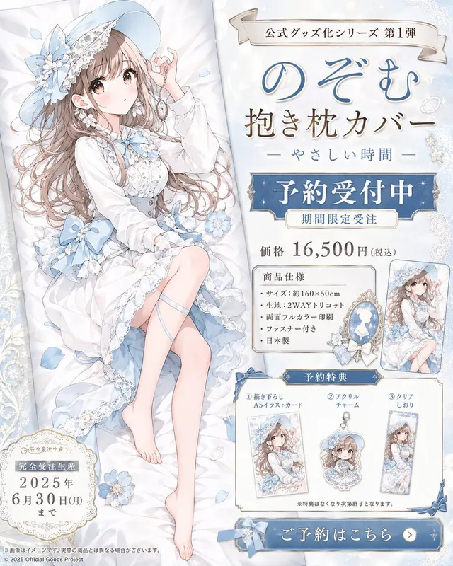 Anime Dakimakura Preorder Poster