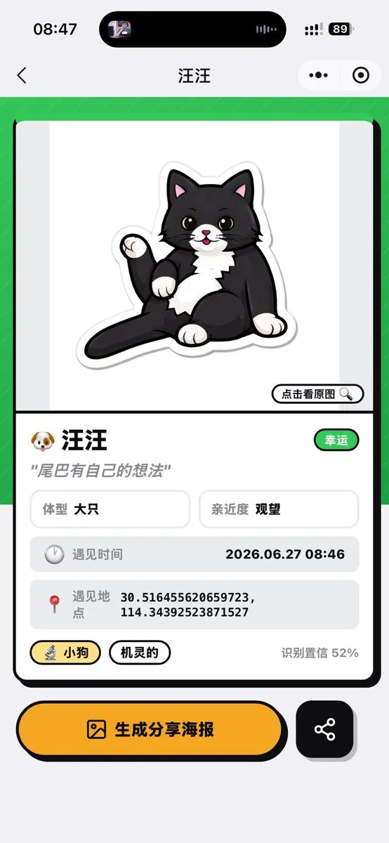 Cat Recognition Result Screen